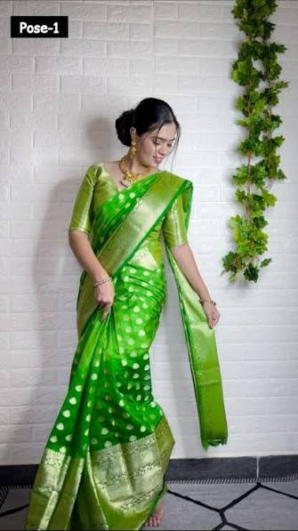 New Saree 2